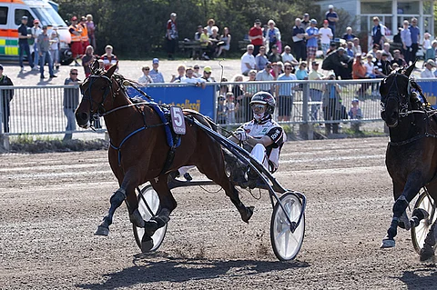 Victory Bonsai vieraili tänään Ruotsinmaalla.