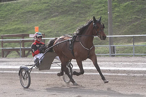 Lappeen Raviliigan Oberon on mainio ideavarma Linnunlahden Toto4-peliin.