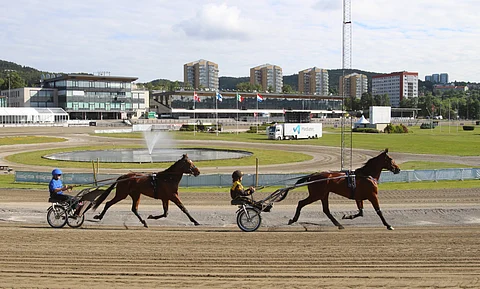 MAS Archie ja Anni Järvinen sekä Sarianne Hynynen ja Victory Bonsai aamuhölkällä Bjerken raviradalla.