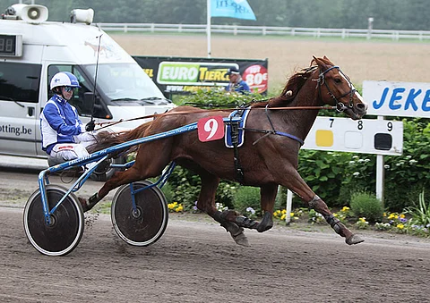 Jukka Torvinen ajoi EM-kisojensa voittostartin Vetiver Danoverin kärryillä.