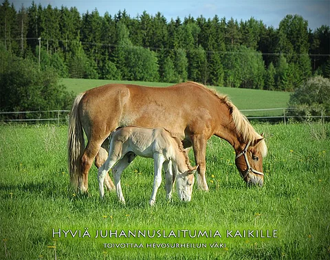 Ravikuningatar Marimin tuoreen varsansa Sisuminin kanssa.