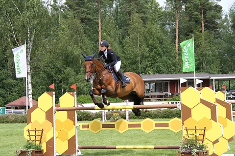 Marina Ehrnrooth iski kiilaa Hattel Horsesin rintamaan.