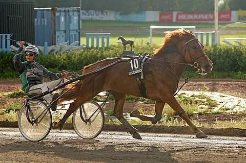 Ryti-Tytön ohjaksista löytyvä Jonny Länsimäki on kuningatarkilpailun ohjastajakuopus.