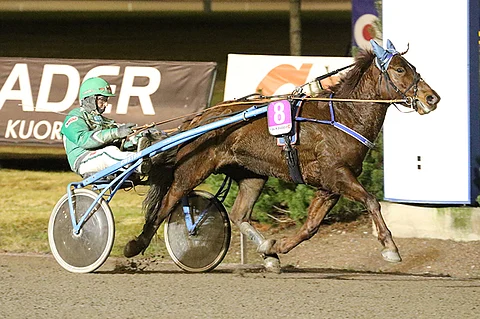 Neljännen kohteen Huimariina on Toto65-kierroksen todennäköisin voittaja. Kuva: Anu Leppänen