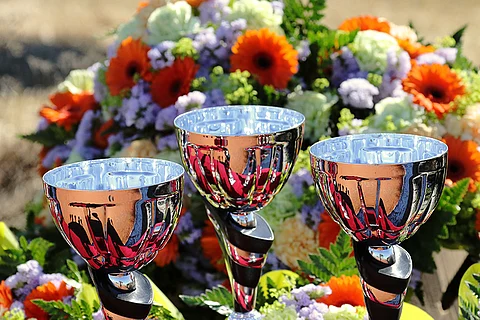 Palkintorahojen nousu halutaan kohdentaa ensi vuonna Nuorten- ja Tammasarjojen lisäksi arkipäivien ravilähtöihin sekä sunnuntairaveihin.