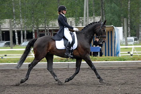 Eirin Losvik ja Daffodil's Flamenco lähtevät nuorten SM-estekokeeseen johtopaikalta.