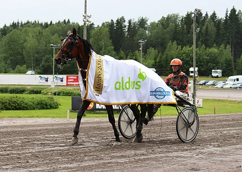 Heinäkuussa Lahdessa Hambon voittanut Stonecapes Picasso loukkaantui tiistain hiitillä.