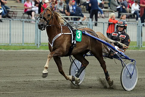 Harri Kotilaisen mielestä Äänestäjällä on mahdollisuudet Derbyn voittoon, vaikka vastassa on Evartin ja Viktor Kärpän kaltaisia kovia nimiä.