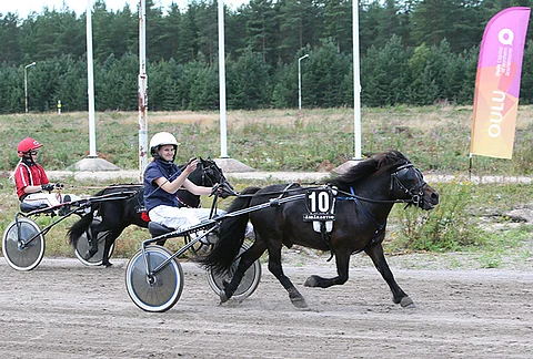 Keiju-Prinssi ja Julia Kiukas jahtaavat toista ponikuninkuutta.