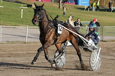 Lahden systeemin tukipilarina toimii Blendior.