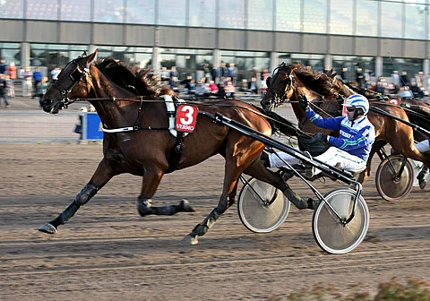 Griminal Jack on sisäradalta oiva ideavarma.