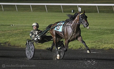Soutwind Frank ja Yannick Gingras saivat pettyä Hambletonianissa. Gingras hävisi toista vuotta peräkkäin niukasti Ron Burken valmennettavalla ja valjakko koki harvinaiset tappiot sekä Hambon finaalissa että karsinnassa.