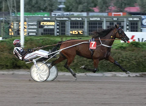 Freddie Ale pystyy voittoon Lappeen neljännessä Toto5-kohteessa.