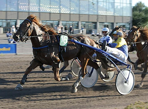 Viuskun Väiski ja Pertti Puikkonen olivat Vermossa keskiviikkona alussa nopeimpia ja lopussa ohittamattomia.