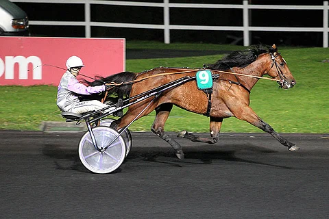 Charly du Noyer on Vincennesin UET GP-karsinnan suosikki.