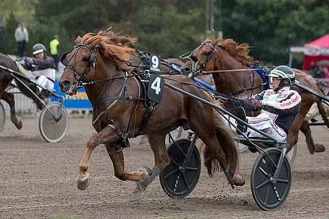 Hullumies palasi Tähtisprintterissä tasolleen ja teki Vermoon uuden rataennätyksen.
