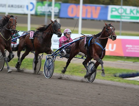 MAS Archie piti pintansa suosikkina. Valmentaja Pekka Mäkelän ja ohjastaja Antti Teivaisen (kuvassa) yhteistyö on poikinut useita arvovoittoja.