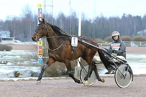 Shadoom on maistuva ideavarma Jokimaalle.