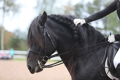 Tämän paremmin ei voi kisa ainakaan alkaa. Mutta huomennakin on vielä tsempattava ja vielä musiikin tahdissa.