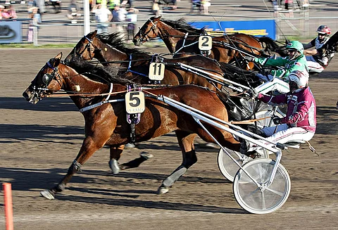 Freddie Ale on voittanut aiemminkin Antti Teivaisen ajamana Toto65:ssä.