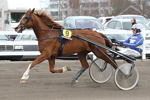 Rim Bay Kickapoo (kuvassa) on illan ykkösvarma, mutta King Of Memoryssa on kakkossuosikkina enemmän ideaa.