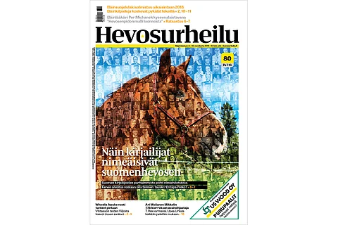 Kirjailijat nimeävät suomenhevosen