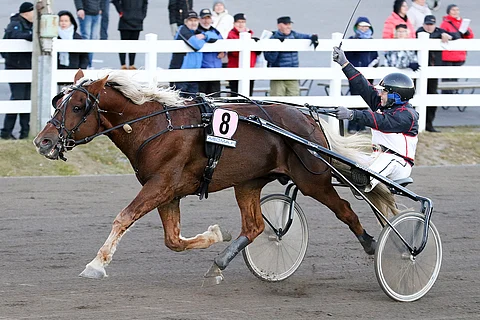 Jorma Naumanen nosti käden pystyyn voiton merkiksi.