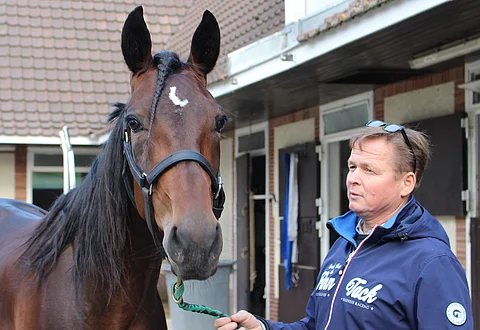 Ratu Royale yöpyy Ranskassa Grosboisin valmennuskeskuksessa noin 20 kilometrin päässä raviradalta.