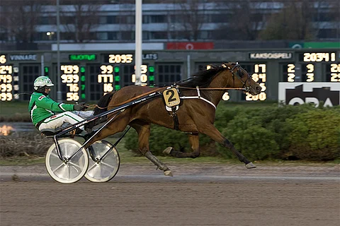 Nefertiti Frido on voittanut jokaisen uransa neljästä kilpailusta.