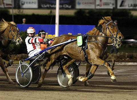 Tapio Perttunen seurasi ratkaisumetreillä onko ulkoradan hevosista Annin Vapulle uhkaa.