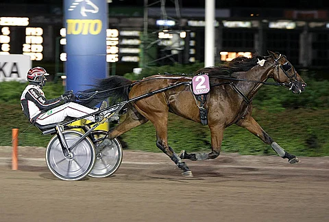 Knox Hanover kilpailee Hampurissa 11.000 euron ykköspalkinnosta.