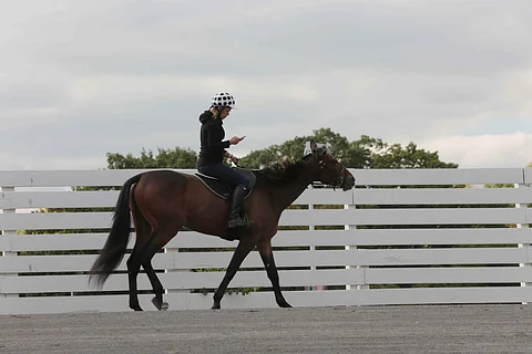 Tano Borkia treenataan ainoastaan ratsain.  Christina Lindhardt on voittanut sillä tukun montelähtöjä.