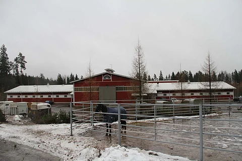 Ypäjän Hevosopistolla on ilmennyt pitkään jatkuneita työhyvinvointiongelmia. Nyt omistajaohjausta tehostetaan.