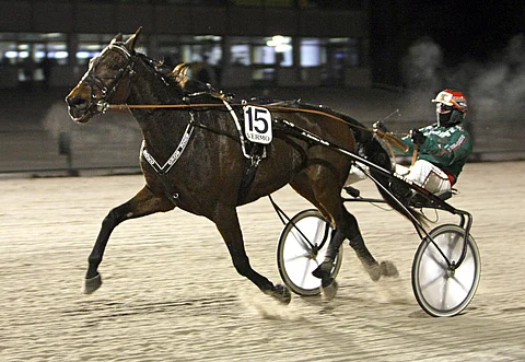 Buck Boko antaa voimiensa puhua poikkeuksellisella 4100 metrin matkalla ajettavassa päätöskohteessa.