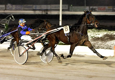 Count Rigel viiletti ilmavalla tyylillä yllätysvoittoon.