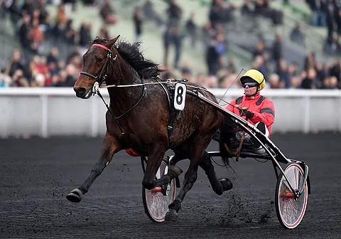 Bold Eagle oli kirissä omaa luokkaansa sunnuntaina. Arkistokuva.