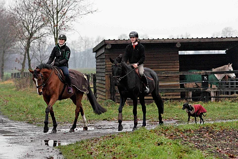 Elmo Jankari ja Sanna Siltakorpi ovat pitäneet pitkään tallia Saksan Warendorfissa. Kuva vuodelta 2014.