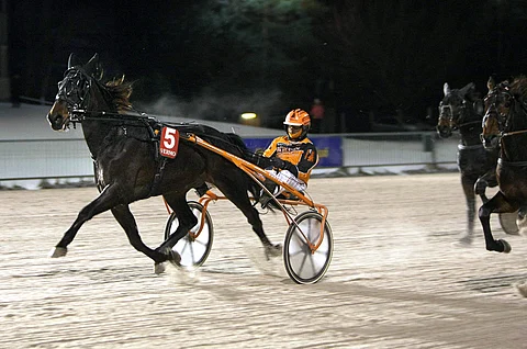 Victory Pilot kiri nappireissulla Toto65-yllätykseen.