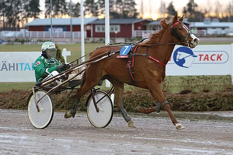 Celebration Song on tottunut voittamaan.