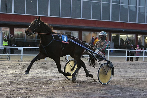 Rock Bolt on mahdollinen varma Jokimaalle.