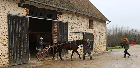 Bold Eagle koko maailmaa vastaan.