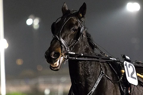 Caramel Kid pystyy paljoon torstaina Kouvolassa.