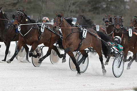 Good Dynamite hallitsi Toto76-rivin avauskohdetta maaliin asti.