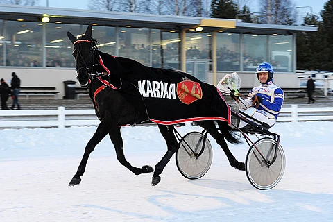 Also Starring ja ohjastaja Esa Holopainen Oulun Toto76-voiton seremonioiden jälkeen.