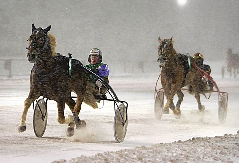 Costello karkasi vastustajiltaan Vermossa.