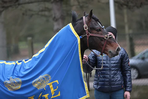 Smedsbo Faksenille voitto! Goop laukkuutti Björs Frej'n viime sunnuntaina, mutta nyt kaikki meni nappiin.