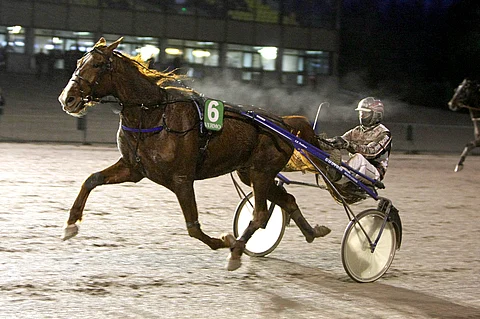 El Dirtyman karkasi vastustajiltaan Vermossa.