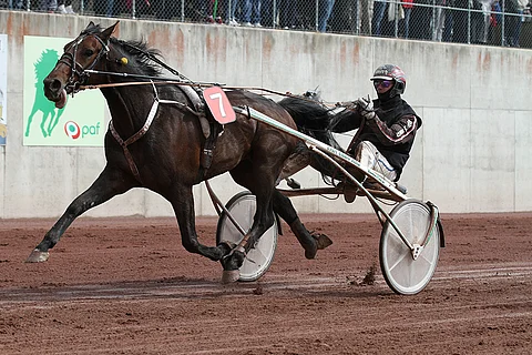 Hyvään kuntoon noussut I Won't Dance on avauskohteen todennäköisin voittaja.