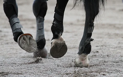 Neljä kuukautta kestänyt kenkäpakko päättyy