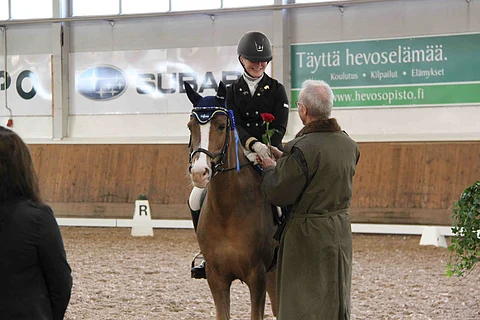 Ruotsi dominoi poniluokkaa.